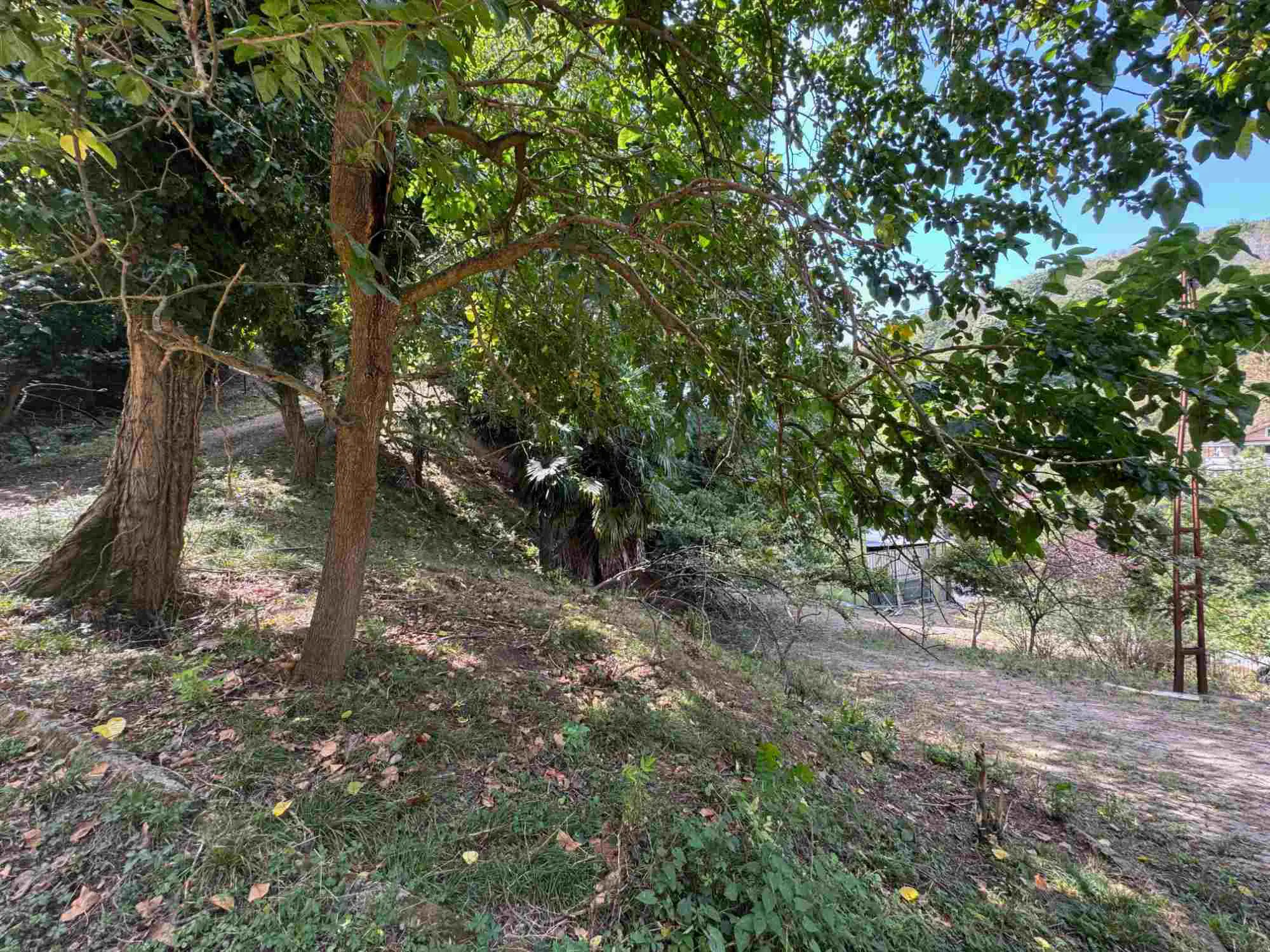 Property image 28