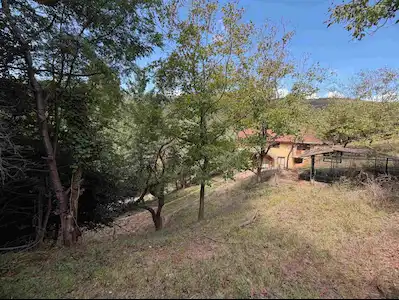 BEYKOZ AKBABA'DA, İÇİNDE 3 KATLI EV OLAN, ORMANA KOMŞU 5145M2 MÜSTAKİL PARSEL