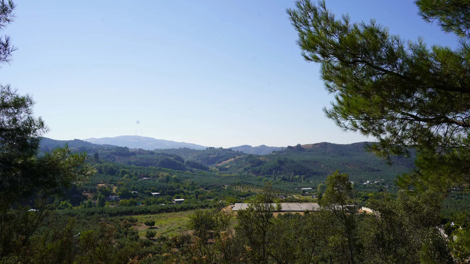 Property image 28
