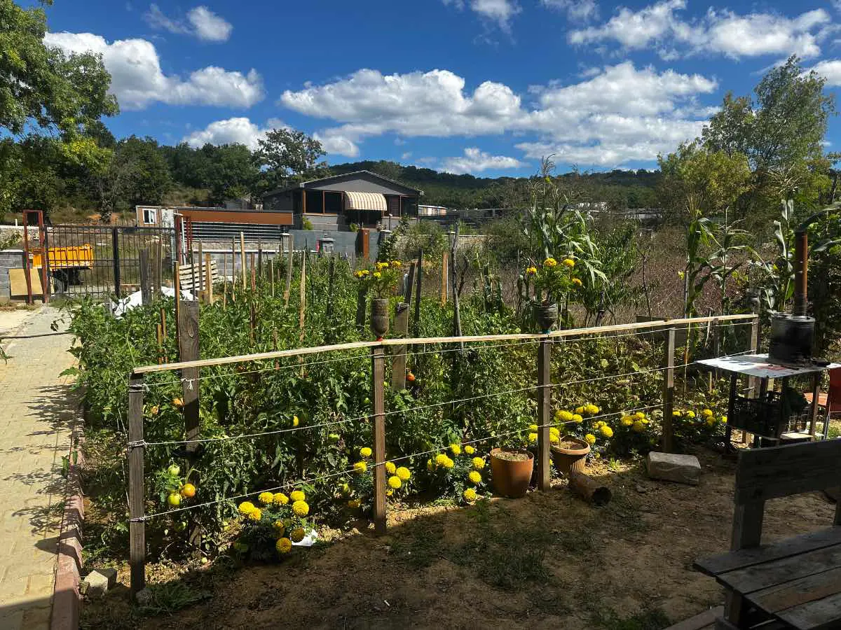 Property image 27