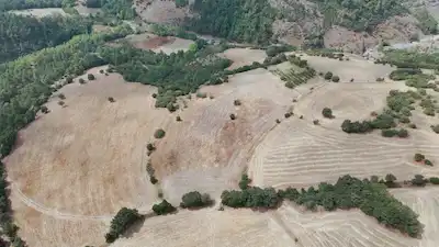 ÇANAKKALE LAPSEKİ ÇAMYURT'TA FIRSAT ARAZİ
