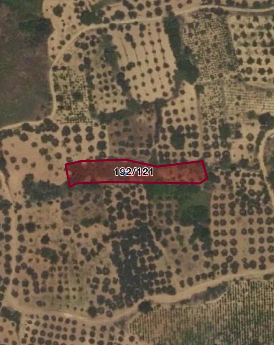 TEKİRDAĞ ŞARKÖY YATIRIMLIK BAĞ/TARLA