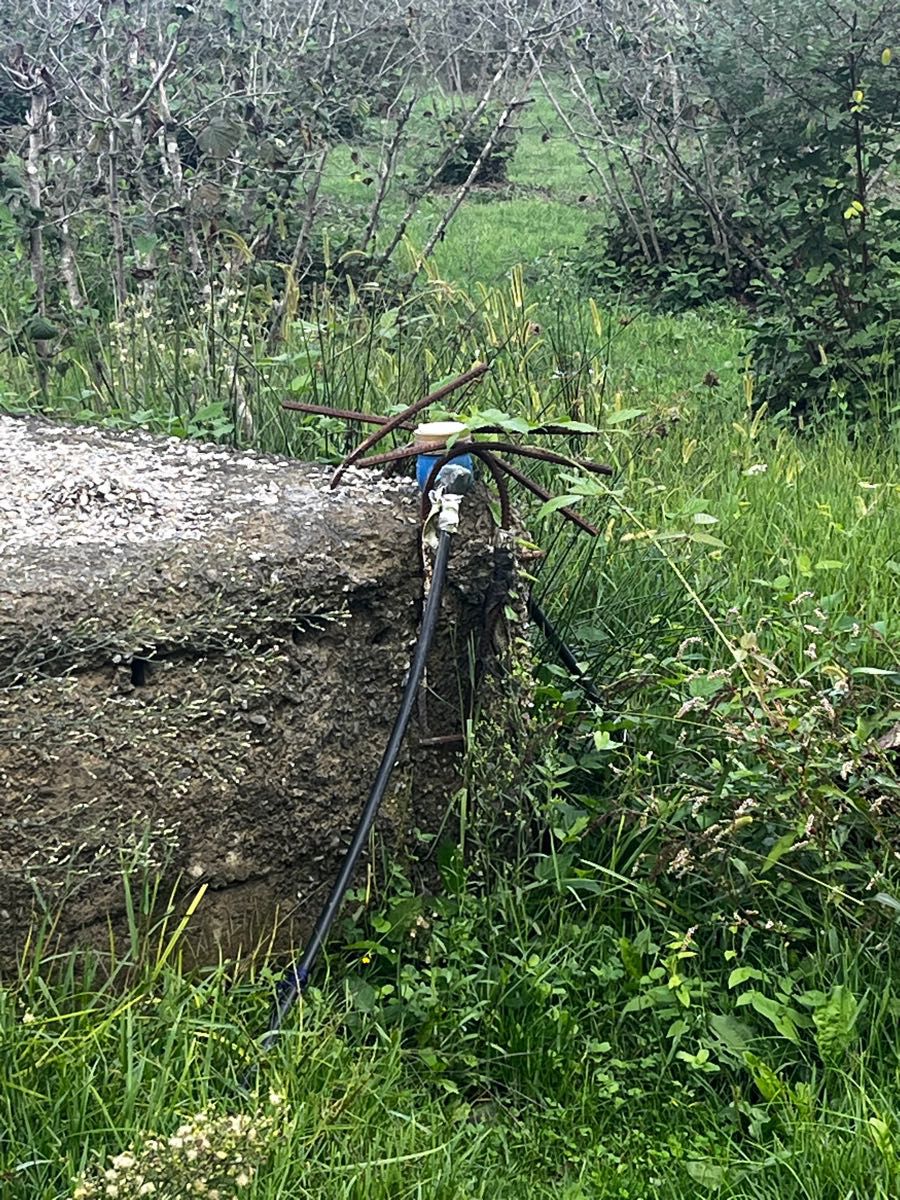 TERME BAZLAMAÇ MAH SATILIK FINDIKLIK