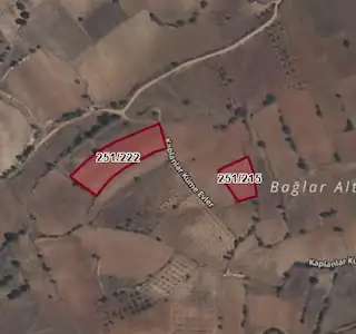 DENİZLİ GÜZELPINAR'DA VERİMLİ TARLA