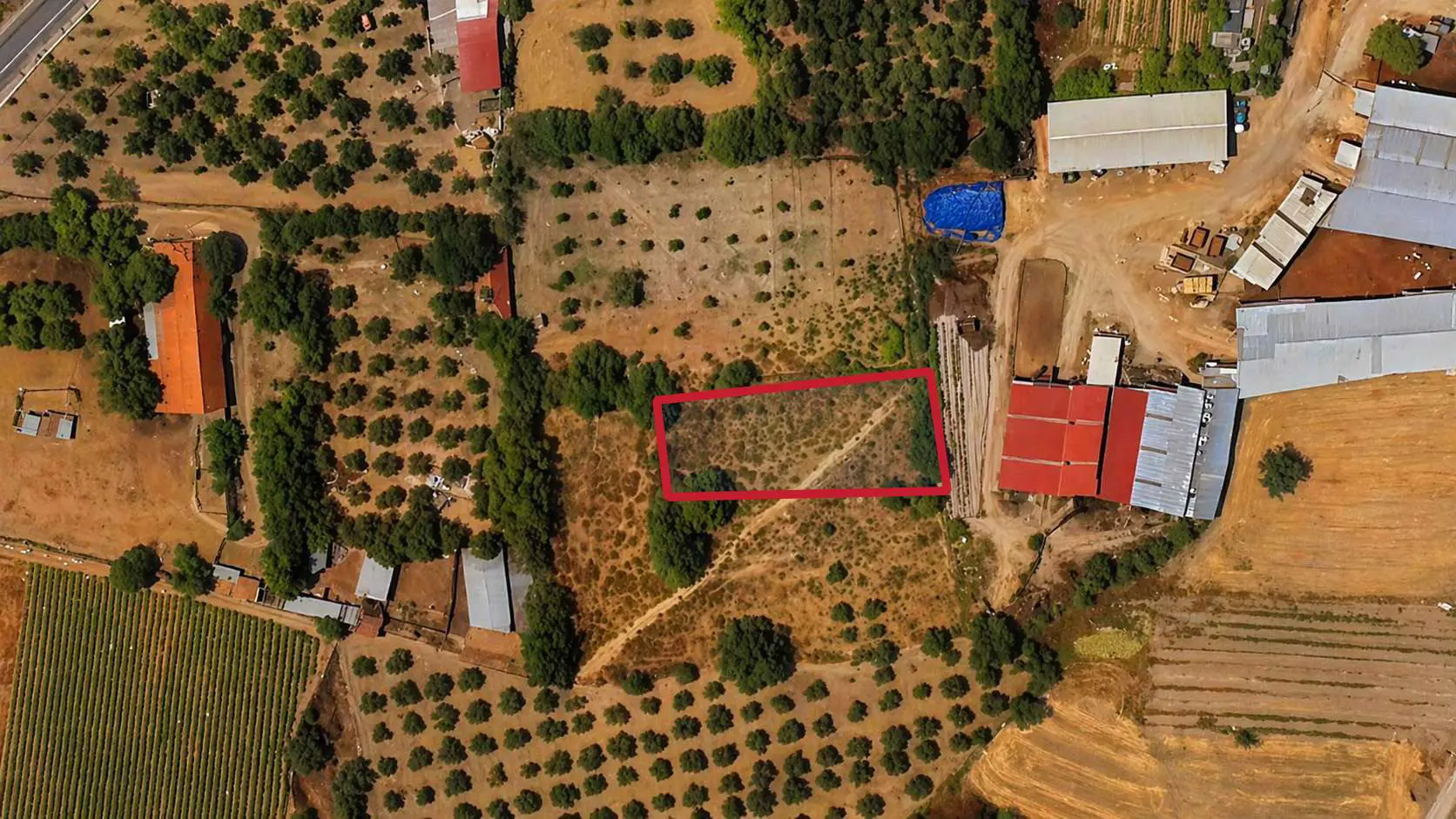 Property image 6