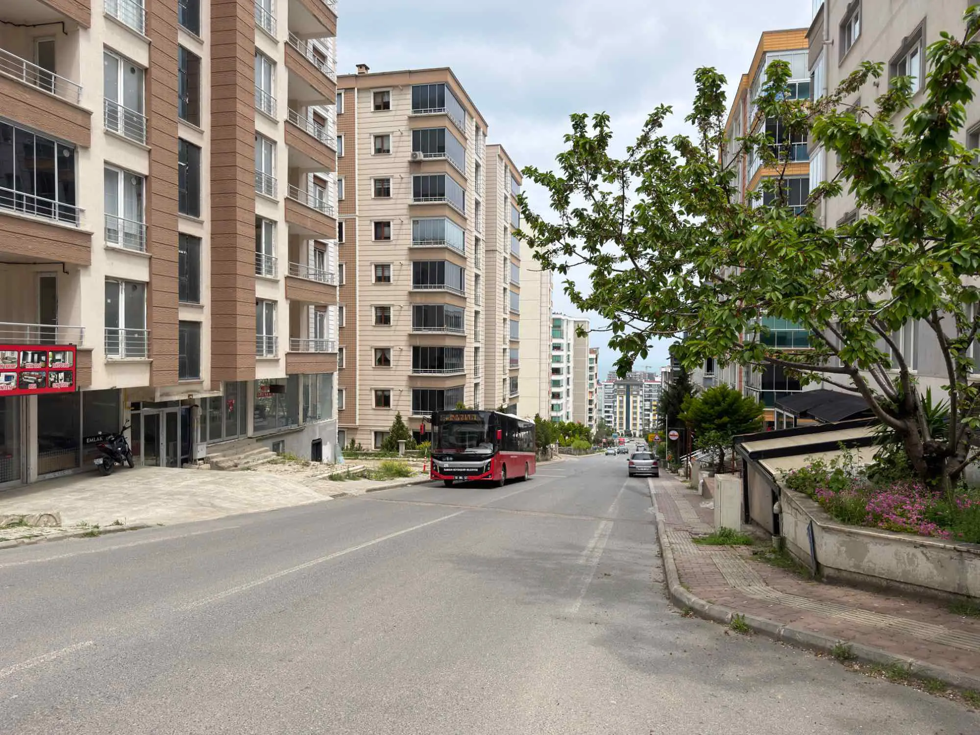 Property image 23