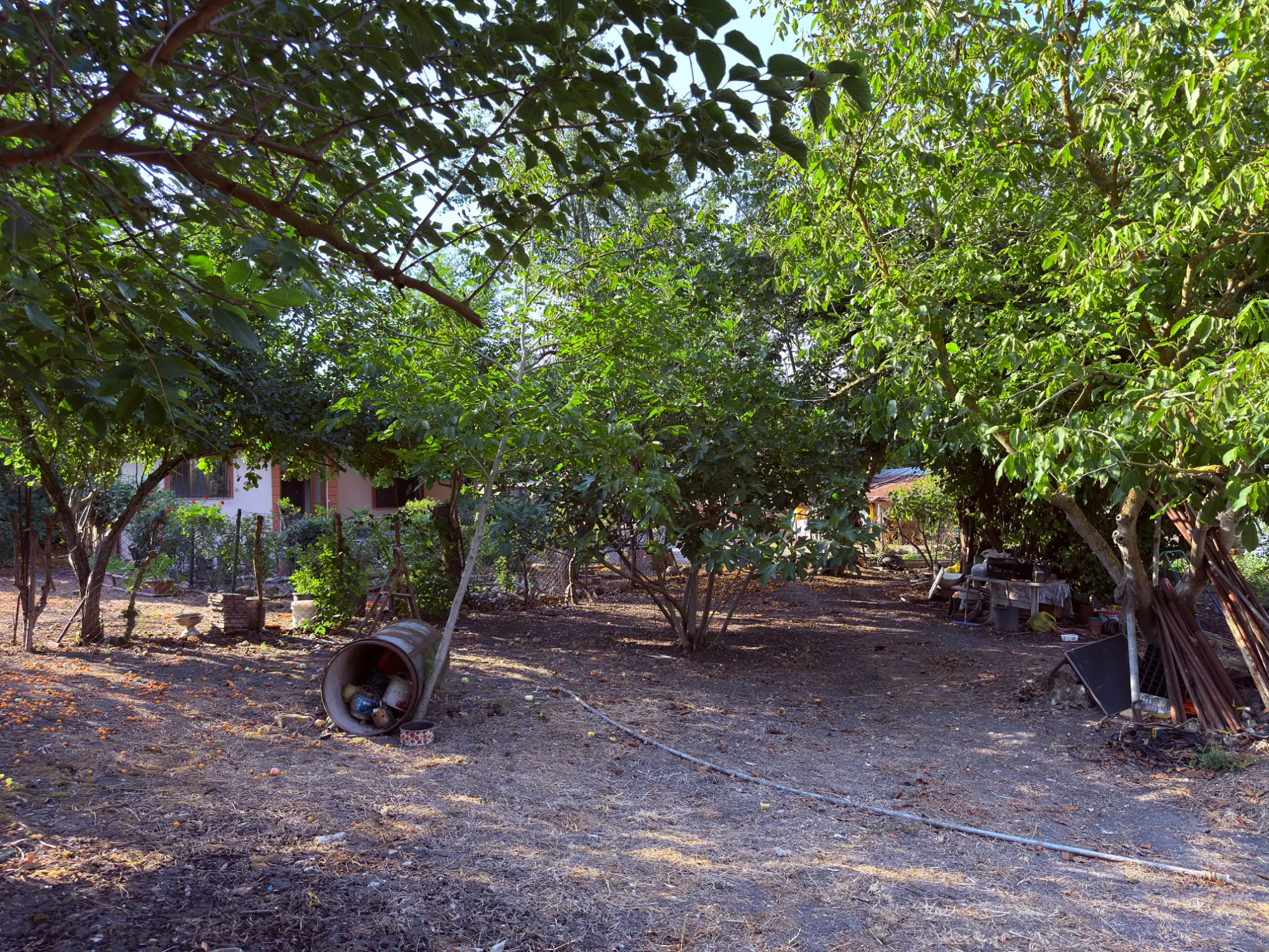 Property image 22