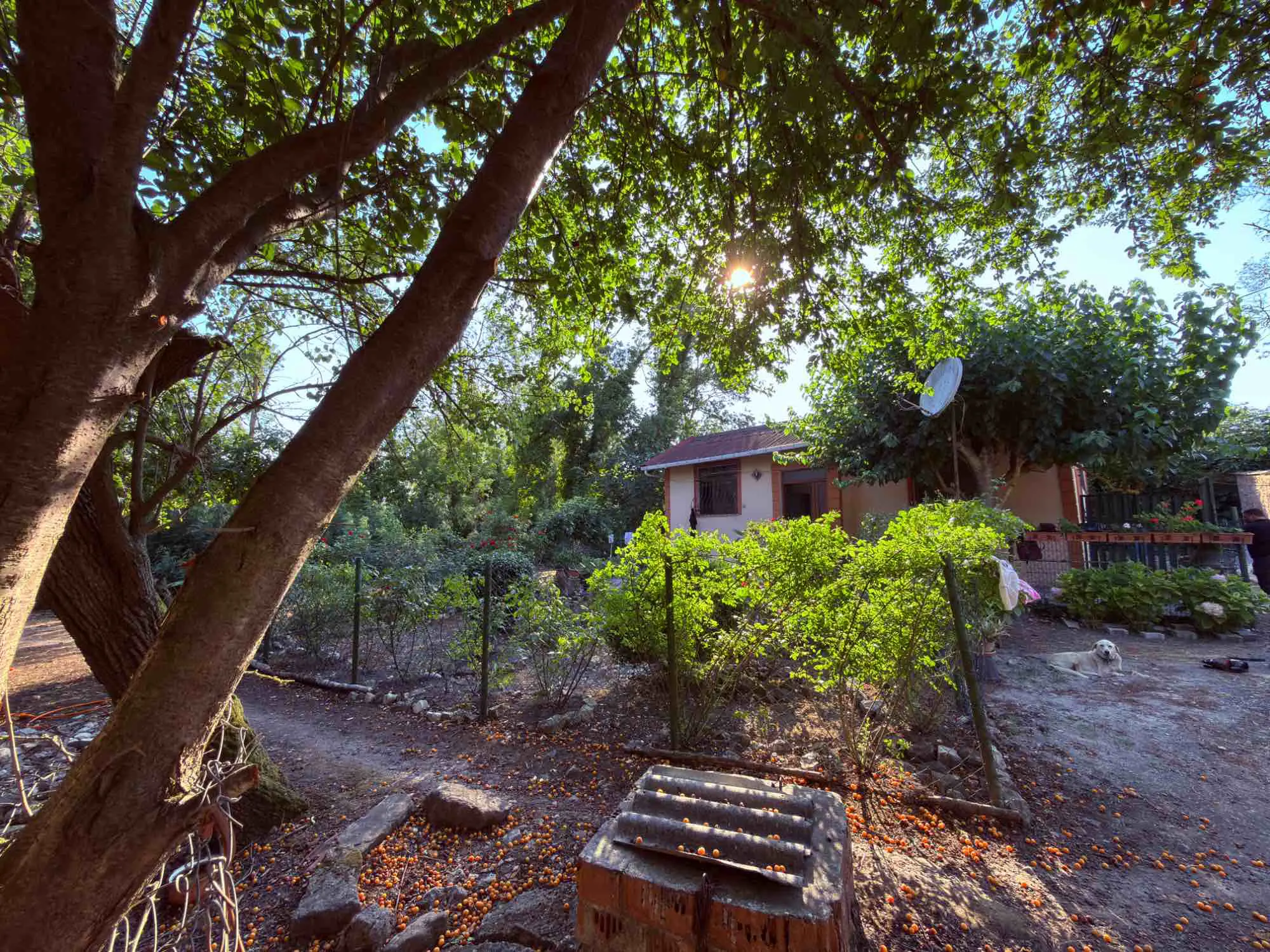 Property image 16