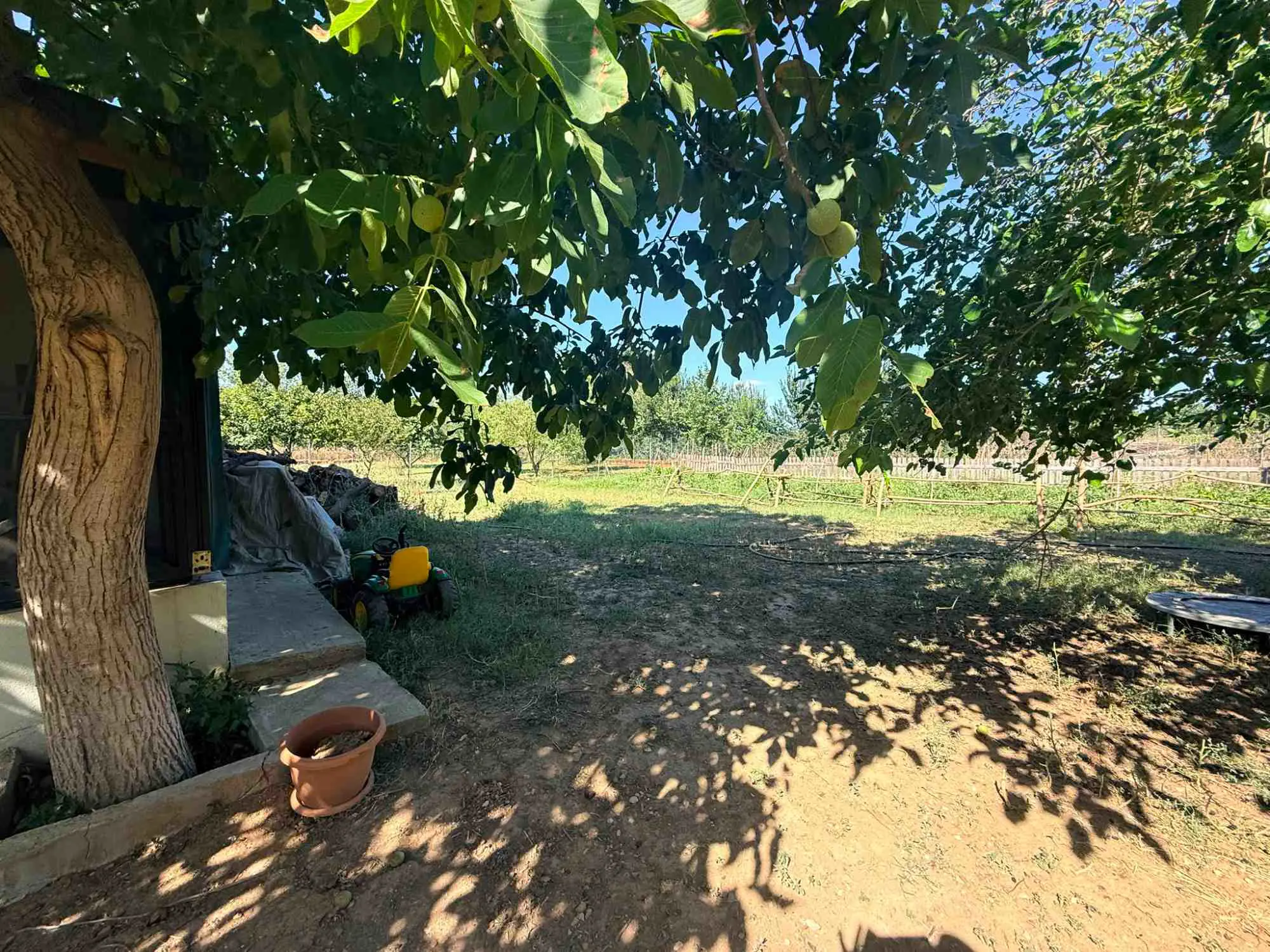Property image 21