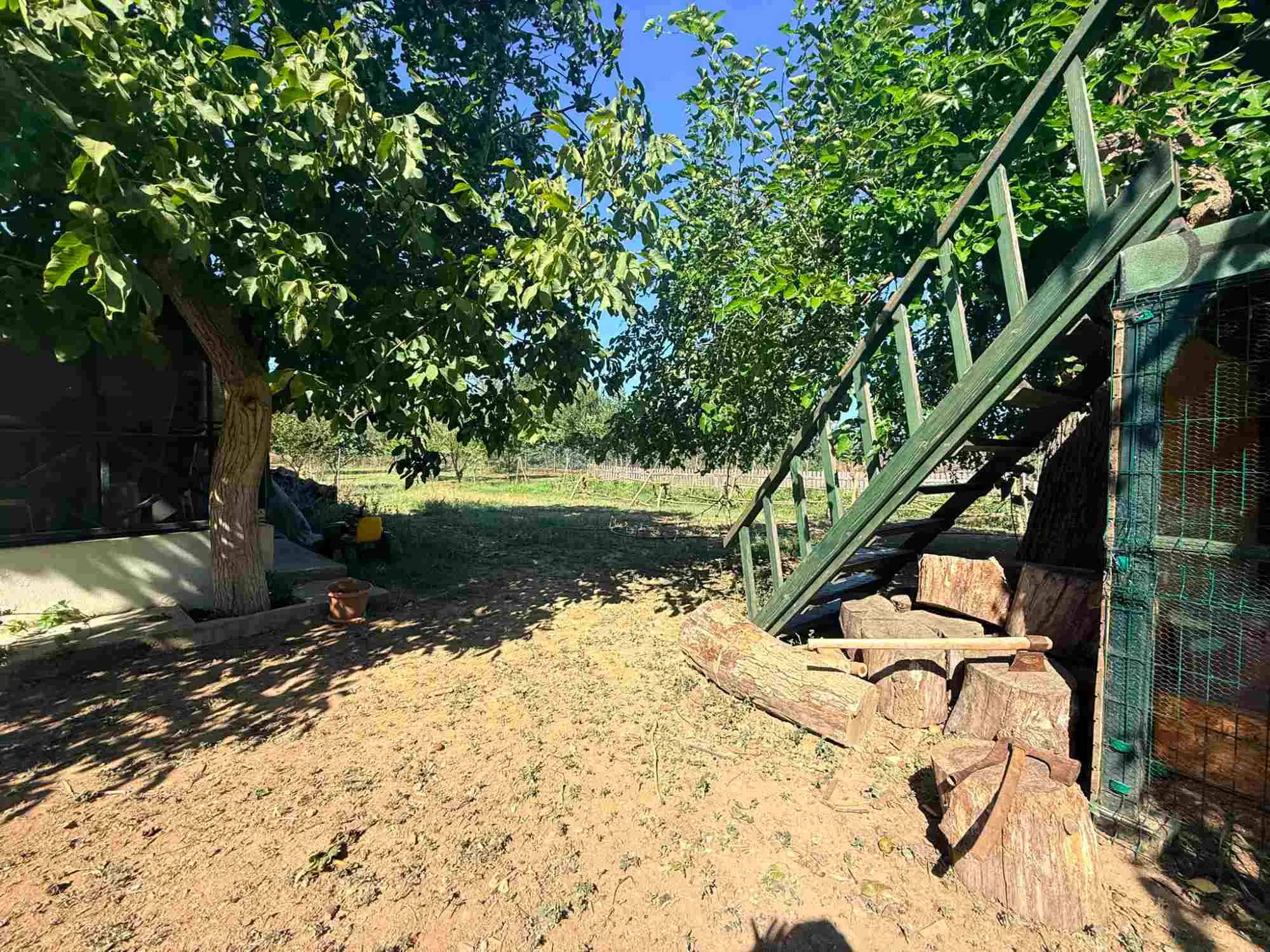 Property image 28