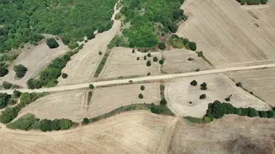 ÇANAKKALE BIGA'DA YOLA CEPHELI, TAM 10 DÖNÜM TARLA
