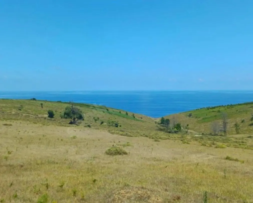 Şile Karacaköyde Denize Yakın Satılık Arsa — fotoğraf 4