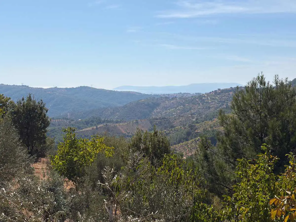 Property image 18