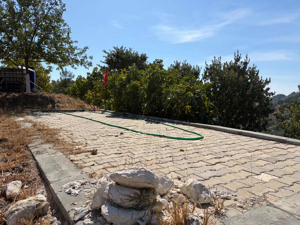 Property image 16