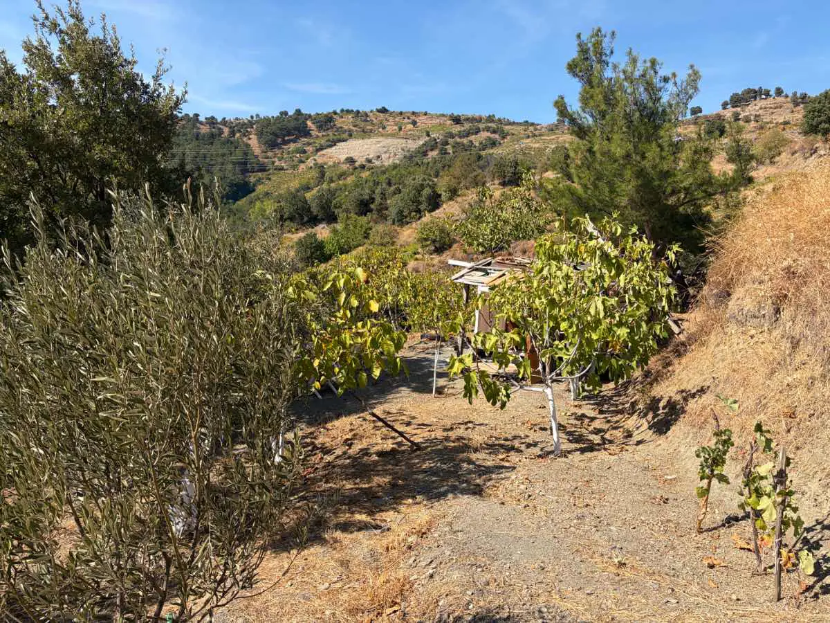 Property image 17