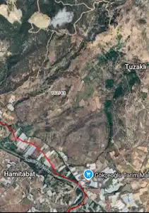 REMAX MAVİ BİLECİK SÖĞÜT TUZAKLI DA 3132 M2 SATILIK TARLA