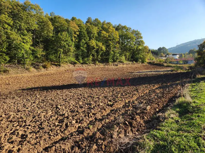 YALOVA ALTINOVA AKTOPRAK KÖYÜNDE 12.556M2 SATILIK TARLA