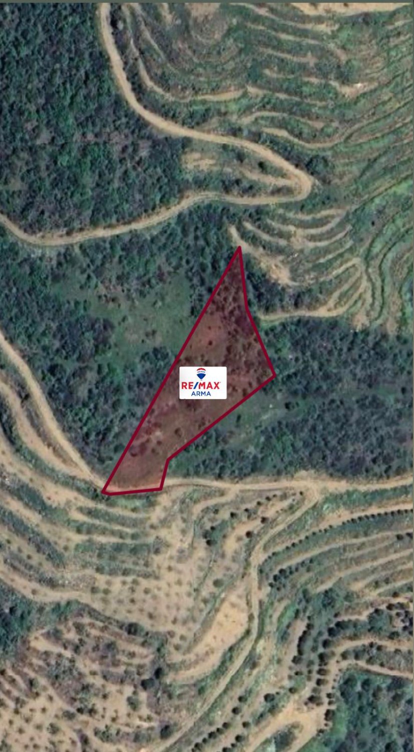 REMAX ARMA'DAN ÖDEMİŞ'DE SATILIK TARLA