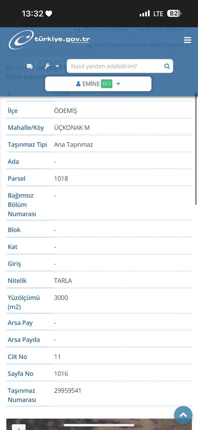 REMAX ARMA'DAN ÖDEMİŞ'DE SATILIK TARLA
