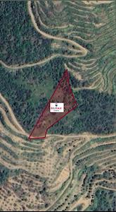 REMAX ARMA'DAN ÖDEMİŞ'DE SATILIK TARLA