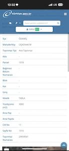 REMAX ARMA'DAN ÖDEMİŞ'DE SATILIK TARLA