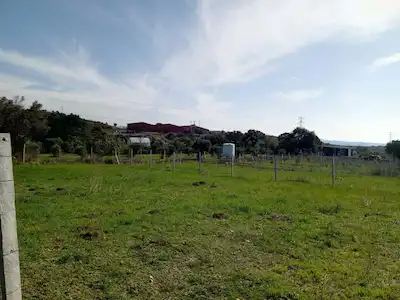 16 URLA BADEMLER DE SATILIK ARSA