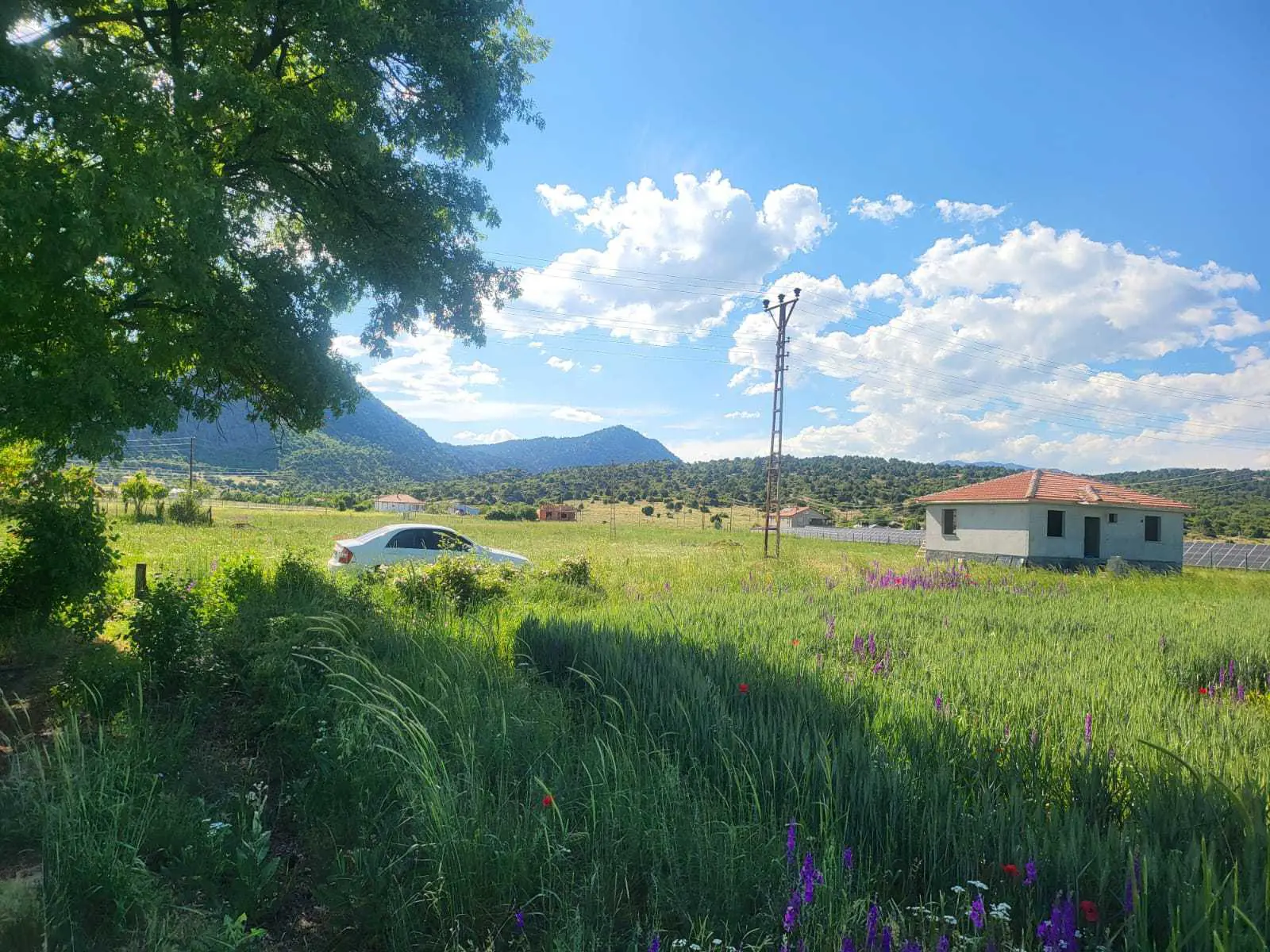 Property image 21
