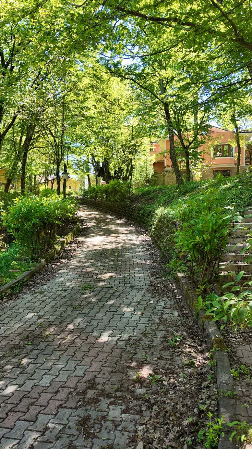 Property image 30
