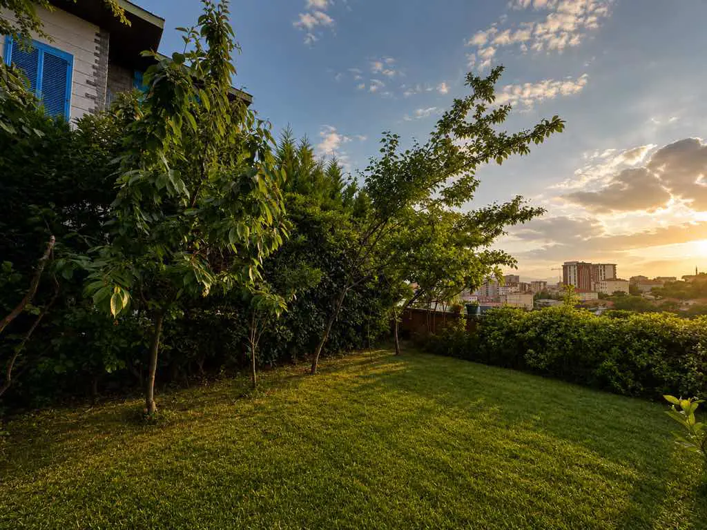 Property image 30
