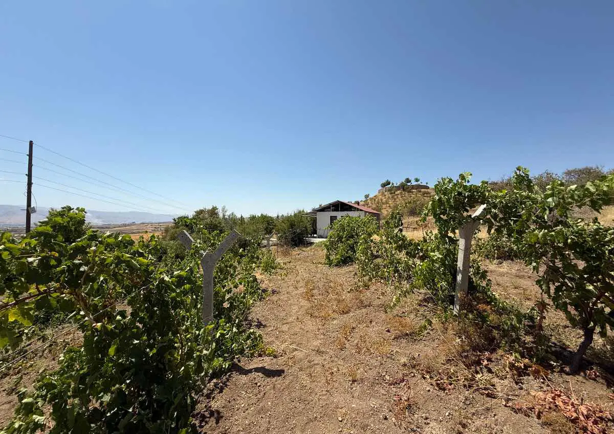 Property image 17