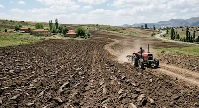 DIKILITAŞ(RUNKUŞ )TA IMAR IÇINDE 5712 M2 KÖK TAPU SATILIK TARLA