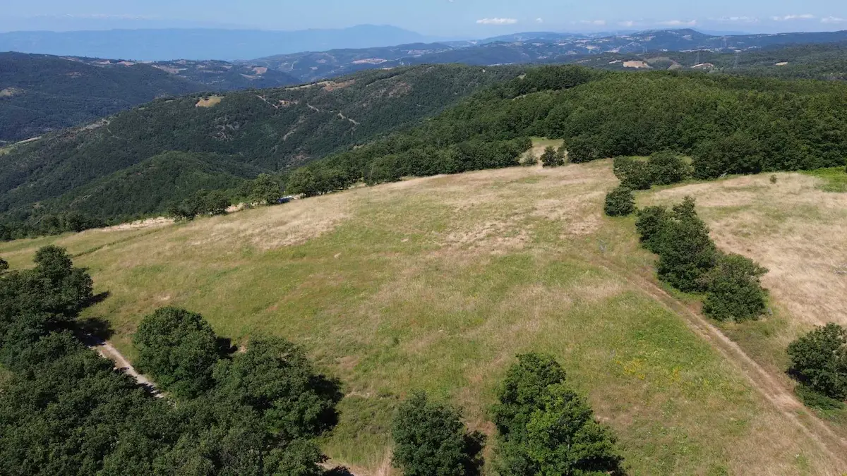 İZNIK GÖLÜ MANZARALI 6 VILLA PROJESINE UYGUN 2.500 M² ARSA !!!