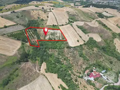 YALOVA KILIÇ KÖYÜNDE KÖY MERKEZİNE YAKIN 16.174 M² TARLA