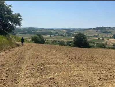 KAYNARCA EĞRİOĞLU'NDA ÇİFT YOLA CEPHELİ 4.400 M² VERİMLİ TARLA