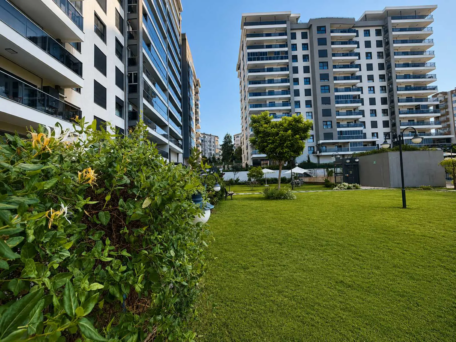 Property image 50