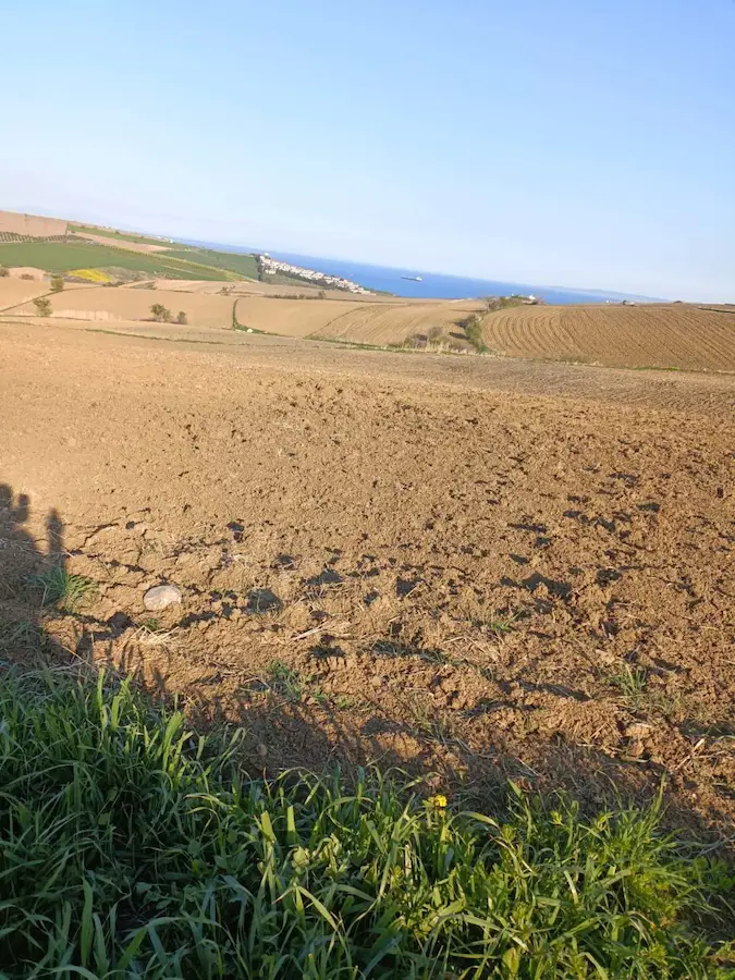 TEKIRDAĞ ŞARKÖY KOCAALI MAH. DENIZE YAKIN SATILIK HISSELI TARLA