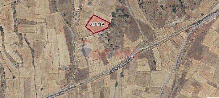 Remax Model Denizli'den Bozkurt'ta Satılık Tarlalar