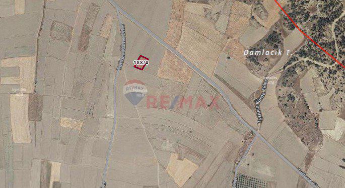 Remax Model Denizli'den Bozkurt'ta Satılık Tarlalar