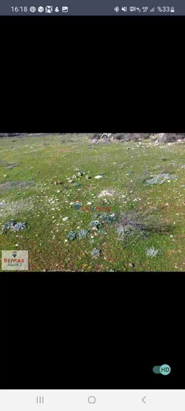 BURDUR BUCAK KUŞBABA KÖYÜNDE SATILIK TARLA