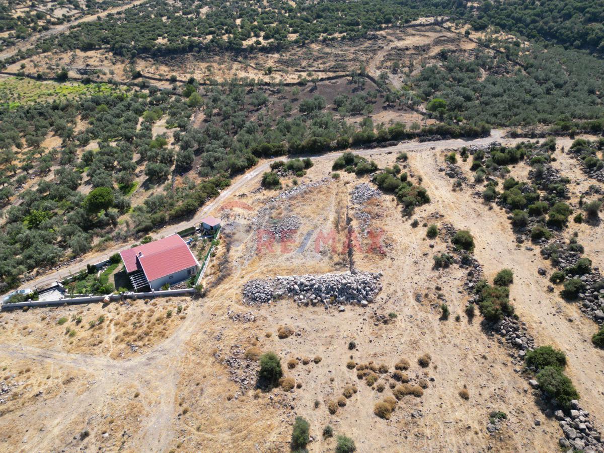 DIKILI BADEMLIDE 406 M2 ARSA