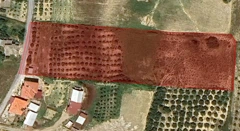 AKSAZ’DA SATILIK 2689 M2 TARLA