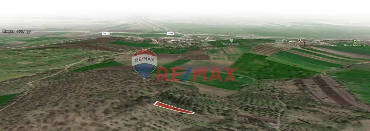 BALIKESIR MANYAS HAMAMLI'DA SATILIK BAĞ