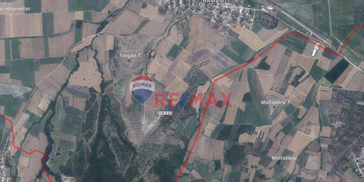 BALIKESIR MANYAS HAMAMLI'DA SATILIK BAĞ