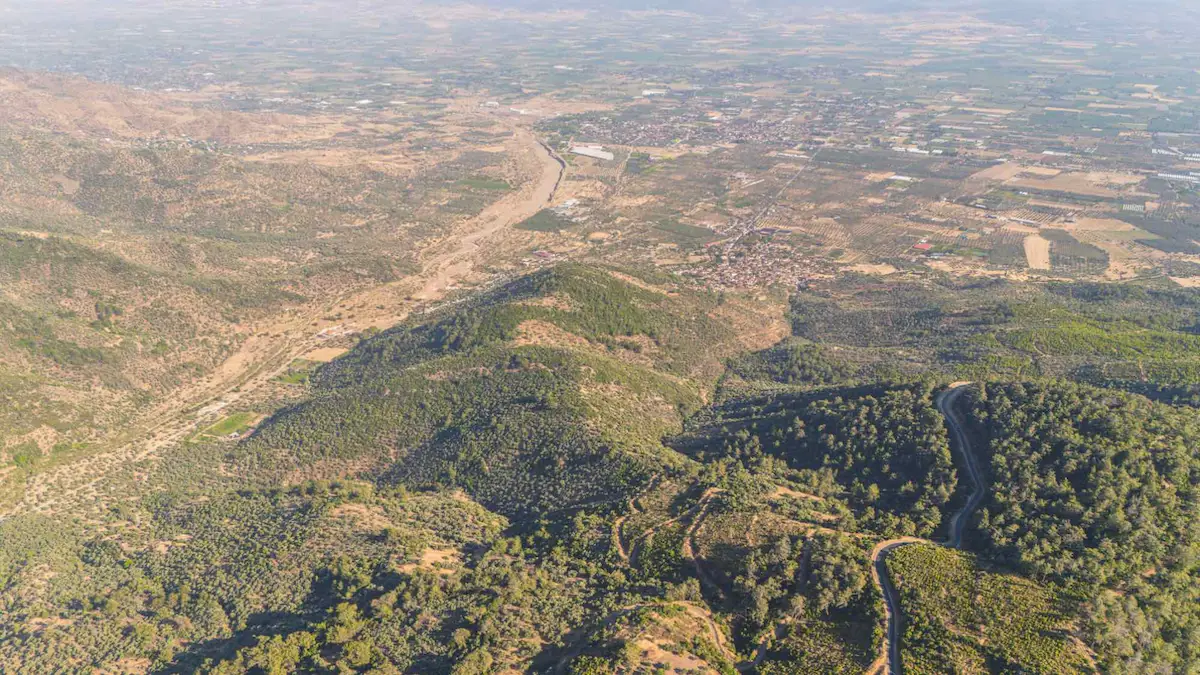 İZMİR BAYINDIR YAKAPINAR'DA 29.000M2 SATILIK ZEYTİNLİK