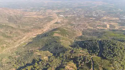 İZMİR BAYINDIR YAKAPINAR'DA 29.000M2 SATILIK ZEYTİNLİK