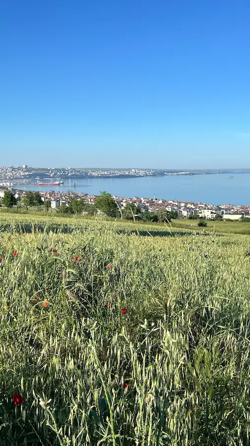 BARBAROS TOPAĞAÇ BÖLGESİ 0,90 EMSAL SATILIK ARSA