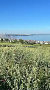 BARBAROS TOPAĞAÇ BÖLGESİ 0,90 EMSAL SATILIK ARSA