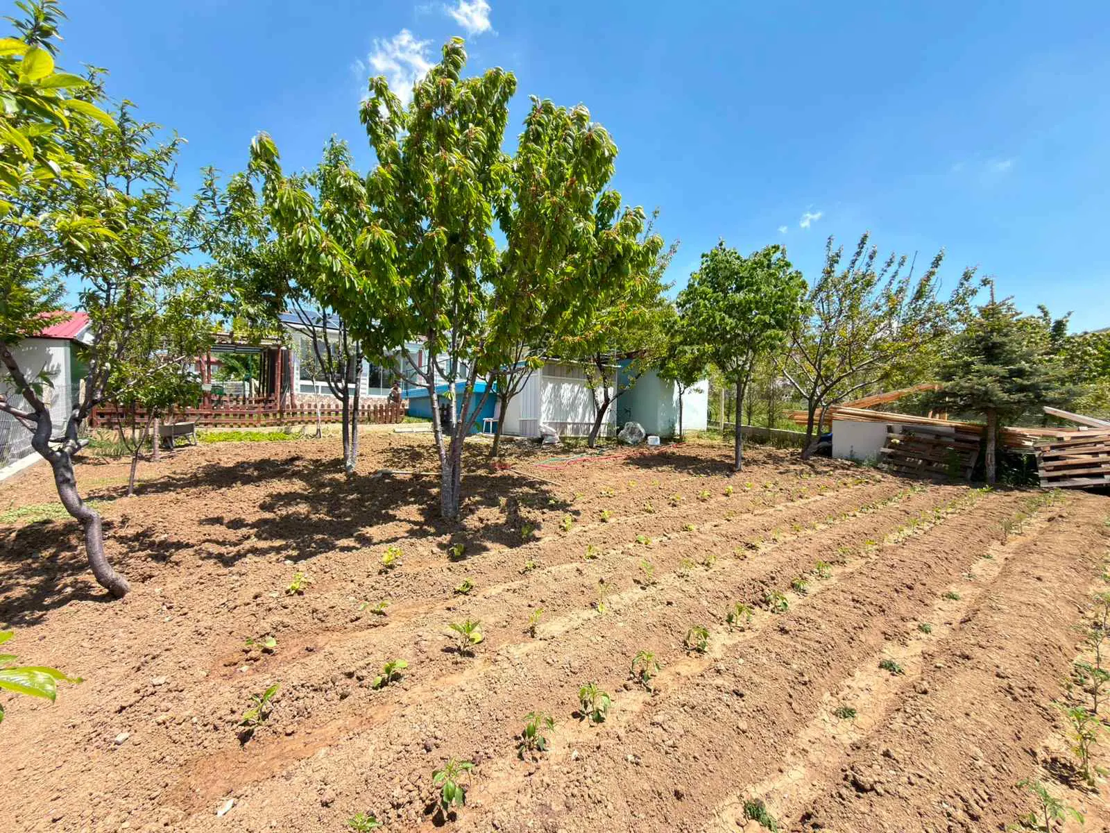 Property image 18