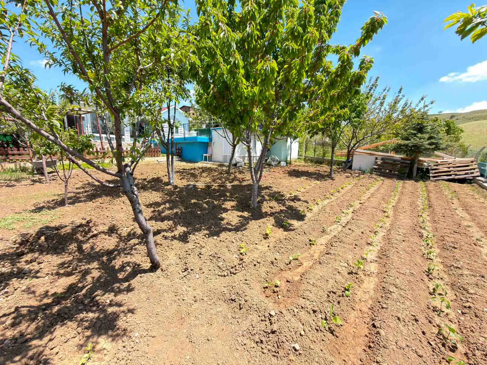 Property image 17