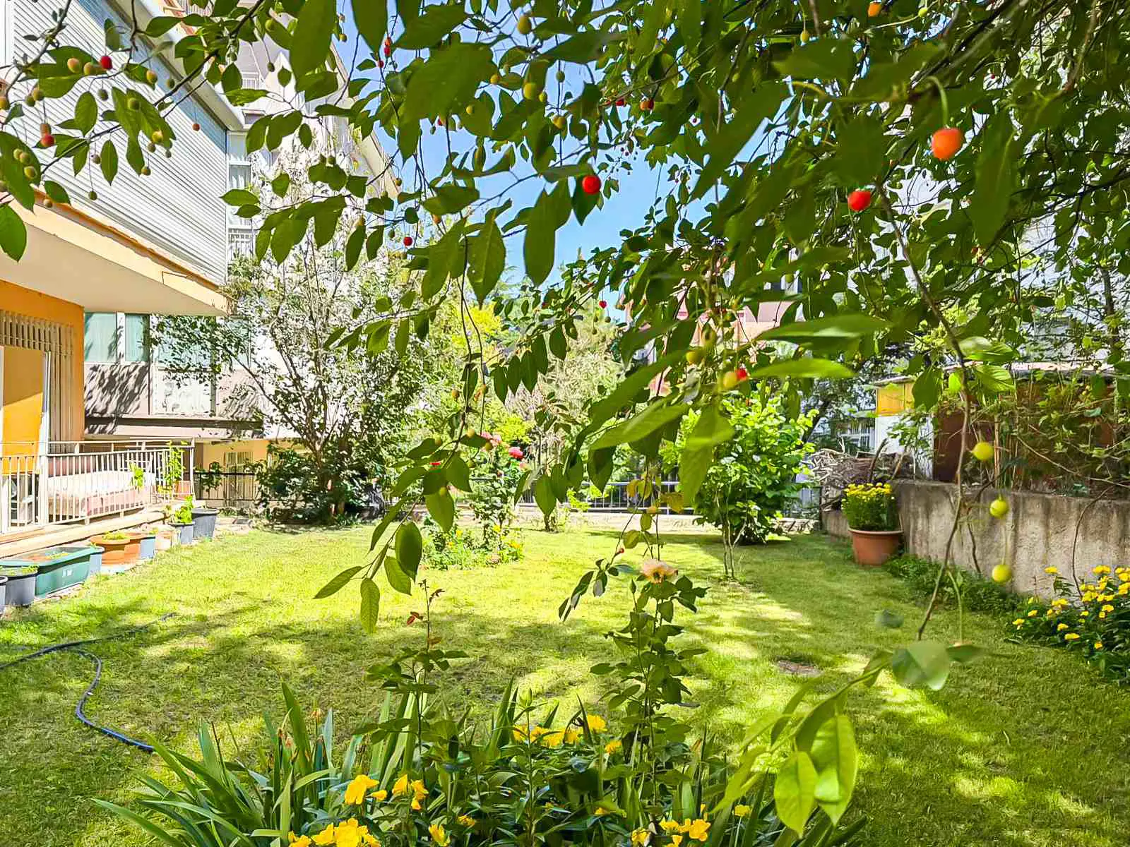 Property image 21